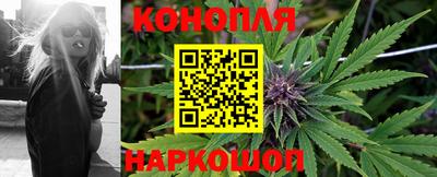 ешки Бийск