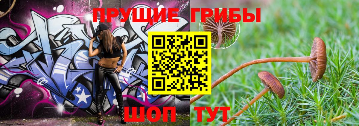 Псилоцибиновые грибы ЛСД  Вход с VPN  Галлюциногенные грибы Magic Shrooms  Ижевск 